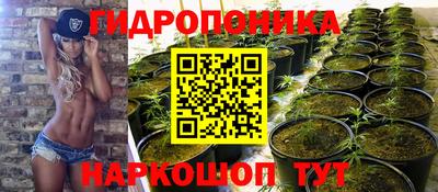 сатива Гудермес