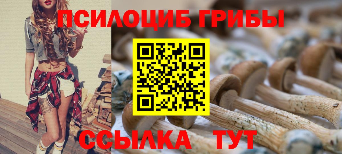 Псилоцибиновые грибы Magic Shrooms  дарнет шоп  Удомля  Галлюциногенные грибы Cubensis  Вход с VPN 